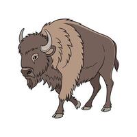Beautiful American Bison in Nature vector