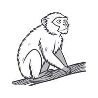 Charming Barbary Macaque on White vector
