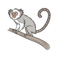 Charming Common Marmoset on Clean White vector
