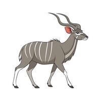Charming Greater Kudu in Nature vector