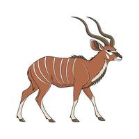 Lovely Greater Kudu on Clean White vector
