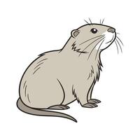 Beautiful Nutria on Clean White vector