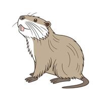Exquisite Nutria on White vector