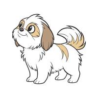 Exquisite Shih Tzu on White vector