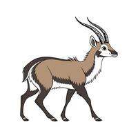 Charming Sitatunga on Clean White vector