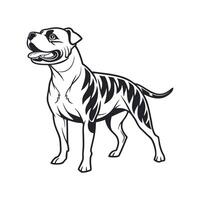 Charming Staffy Dog on White vector