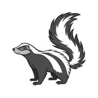 Lovely Striped Skunk on White vector