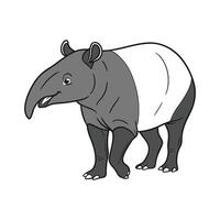 Exquisite Tapir on Clean White vector