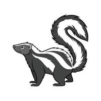 Charming Striped Skunk on White vector