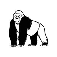 Exquisite Gorilla on White vector