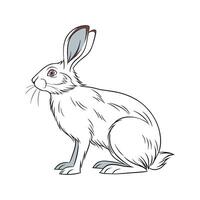 Charming Beveren Rabbit Illustration vector