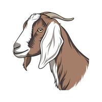 Charming Nubian Goat Illustration vector