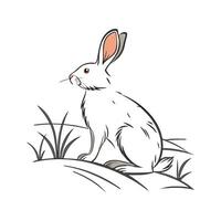 Rex Rabbit Realistic Color Portrait vector