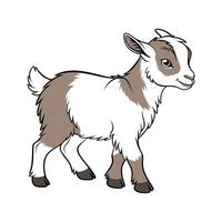 Realistic Pygmy Goat Color Design vector