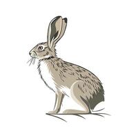 Realistic Rabbit Color Illustration with Outline vector