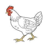 Rhode Island Red Chicken Realistic Color Art vector