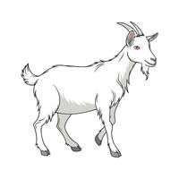 Saanen Goat Realistic Color Art vector