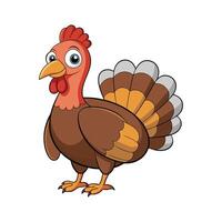 Realistic Turkey Color Illustration with Outline vector