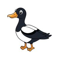 Realistic Magpie Duck Color Design vector