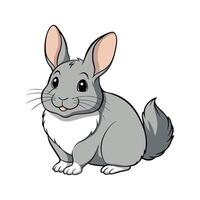 Chinchilla Rabbit Realistic Color Illustration vector