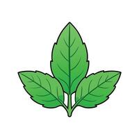 Vibrant Amaranth Green Leaves Isolated vector