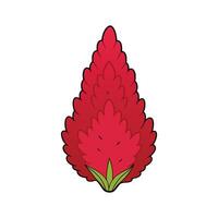 Crisp Amaranth Red Leaves Isolated vector