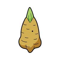 Nutritional Arrowhead Root For Culinary Use vector