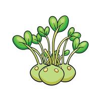 Fresh Mung Bean Sprouts For Healthy Dishes vector