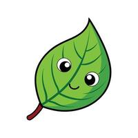Isolated Betel Leaf Ideal For Culinary Uses vector
