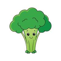 Nutritious Broccolini Ideal For Cooking vector