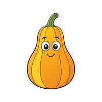 Fresh Buttercup Squash Ideal For Dishes vector