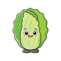 Nutritious Napa Cabbage Fresh For Cooking vector