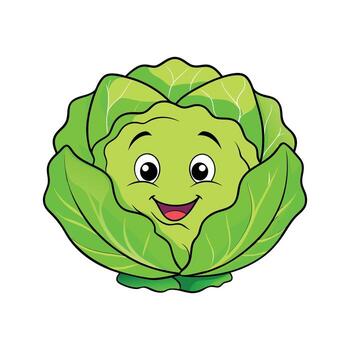 Savoy Cabbage Fresh For Culinary Use vector