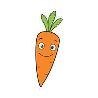 Nutritious Nantes Carrot Fresh For Cooking vector