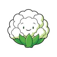 Nutritious White Cauliflower Ideal For Cooking vector