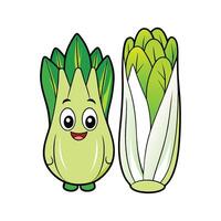 Nutritious Belgian Endive Ideal For Cooking vector