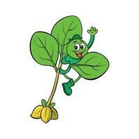 Fresh Climbing Spinach Ideal For Salads vector