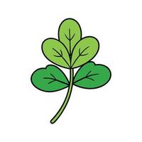 Nutritious Fenugreek Leaves Isolated vector