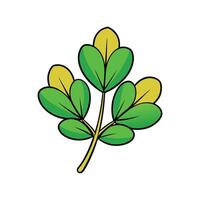 Isolated Fenugreek Leaves Great For Salads vector