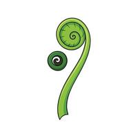 Fiddlehead Fern Fresh Ideal For Culinary Uses vector