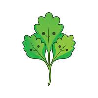Nutritious Green Mustard Leaves Isolated vector