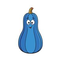 Fresh Blue Hubbard Squash Ideal For Cooking vector