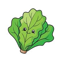 Isolated Green Leaf Lettuce Great For Cooking vector