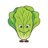 Fresh Romaine Lettuce Ideal For Salads vector