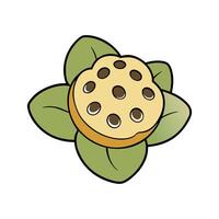 Isolated Lotus Root Great For Salads vector