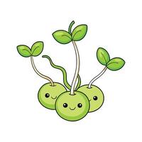 Fresh Mung Bean Sprouts Ideal For Salads vector
