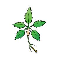 Fresh Stinging Nettle Ideal For Cooking vector