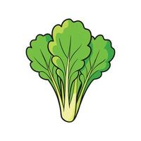 Nutritious Mustard Greens Isolated vector