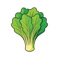 Mustard Greens Fresh Ideal For Culinary Uses vector