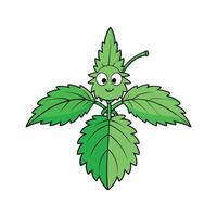 Isolated Stinging Nettle Great For Salads vector